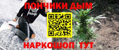 крисы Краснознаменск