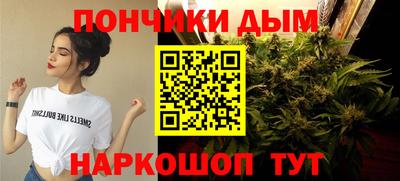 крисы Краснознаменск