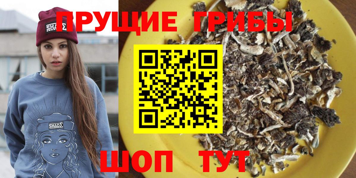 Псилоцибиновые грибы Cubensis Ярославль