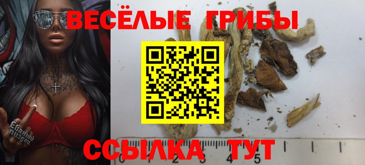 Ярославль  Галлюциногенные грибы Magic Shrooms  Псилоцибиновые грибы Psilocybine cubensis  Вход с VPN 